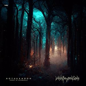 Pre Made Album Cover Woodsmoke a painting of a path through a forest at night