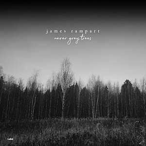Pre Made Album Cover Nobel a black and white photo of a forest