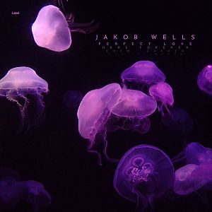 Pre Made Album Cover Violet a group of jellyfish floating in the water