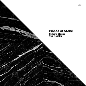 Pre Made Album Cover Cod Gray a black and white photo of a triangle