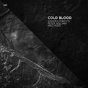 Pre Made Album Cover Cod Gray a black and white photo of a stone wall