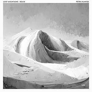 Pre Made Album Cover Silver a black and white photo of a mountain