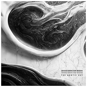 Pre Made Album Cover Alto a black and white photo of a sink