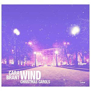 Pre Made Album Cover Medium Purple a snowy night in a park with street lights