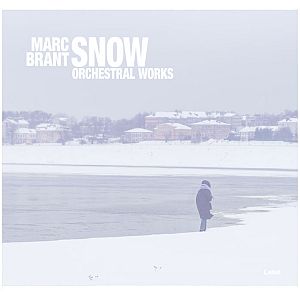 Pre Made Album Cover Mystic a person standing in the snow near a body of water
