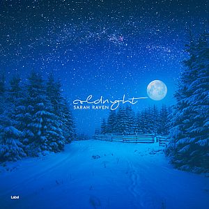 Pre Made Album Cover Endeavour a night scene with a snow covered road and trees