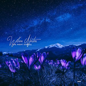 Pre Made Album Cover Catalina Blue a field of purple flowers under a night sky
