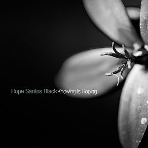Pre Made Album Cover Silver Chalice a black and white photo of a flower