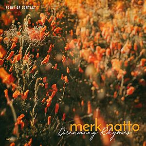Pre Made Album Cover Black Marlin a field full of orange flowers with a blurry background