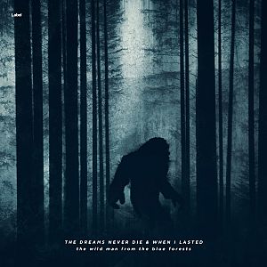 Pre Made Album Cover Firefly a bigfoot walking through a dark forest
