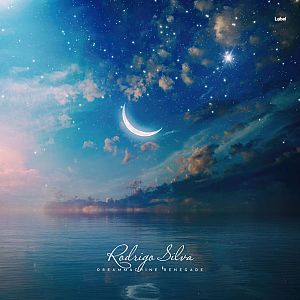Pre Made Album Cover Biscay a painting of a night sky with a crescent and stars