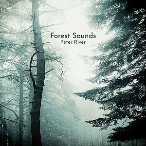 Pre Made Album Cover Powder Ash a black and white photo of a foggy forest