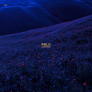 Pre Made Album Cover Blue Zodiac a grassy hill with flowers in the foreground and a blue sky in the background