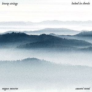 Pre Made Album Cover Geyser a bird flying over a foggy mountain range