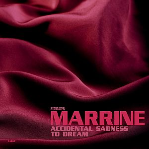 Pre Made Album Cover Aubergine a close up view of a red fabric