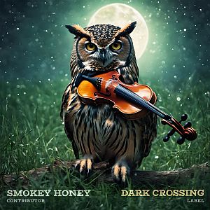 Pre Made Album Cover Outer Space an owl playing a violin in the grass
