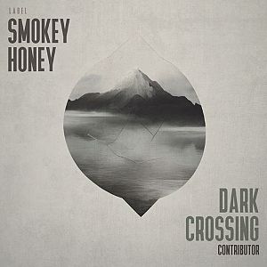 Pre Made Album Cover Cotton Seed the cover art for smokey honey's dark crossing album