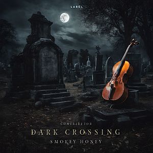 Pre Made Album Cover Shark a violin sitting in the middle of a cemetery