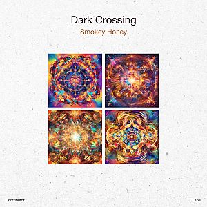 Pre Made Album Cover Desert Storm the cover of dark crossing smokey honey