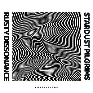 Pre Made Album Cover Silver Black and white wavy lines creating an optical illusion with a distorted, ripple-like effect.