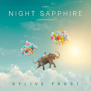 Pre Made Album Cover Clay Ash elephant,  balloons,  sky,  clouds