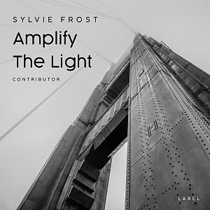 Pre Made Album Cover Silver A dramatic black and white photo of a towering bridge structure disappearing into the fog above.