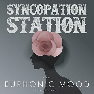 Pre Made Album Cover Shuttle Gray Syncopation,  Station,  Euphonic,  Mood