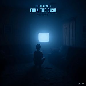 Premade Album Cover Black Pearl - ID 12162