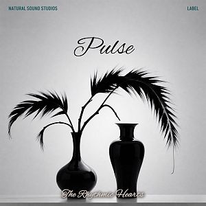 Pre Made Album Cover French Gray Two black vases with palm leaves against a gray background. Vintage-like minimalistic design.