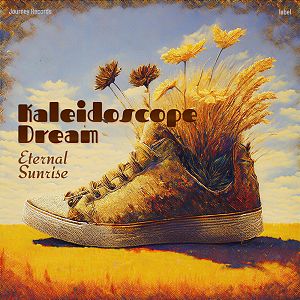 Pre Made Album Cover Heathered Gray A colorful sneaker with flowers and wheat sprouting from it against a warm, dreamy background.