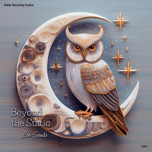 Pre Made Album Cover Mamba owl,  moon,  stars,  celestial