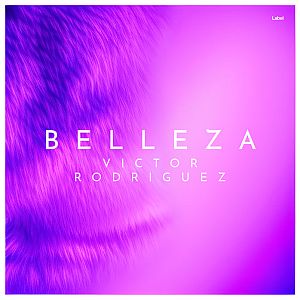 Pre Made Album Cover Heliotrope a blurry image of a pink and purple background