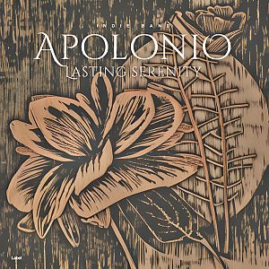 Pre Made Album Cover Fuscous Gray a drawing of a flower on a wooden surface