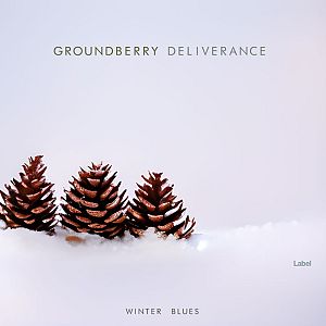 Pre Made Album Cover Snuff three pine cones sitting on top of snow covered ground