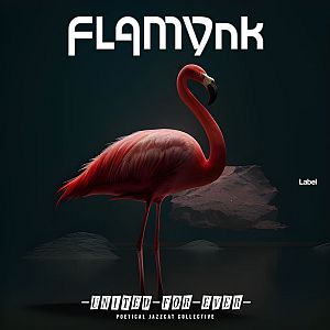 Pre Made Album Cover Bunker a pink flamingo standing in the dark