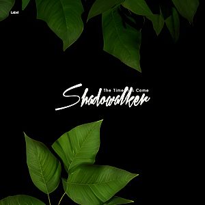 Pre Made Album Cover Black Forest a plant with green leaves on a black background