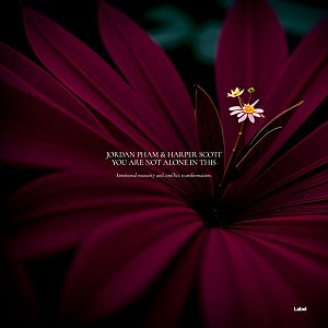 Pre Made Album Cover Aubergine a close up of a flower with a dark background