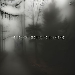Pre Made Album Cover Tuatara a black and white photo of a foggy forest