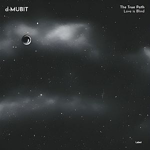 Pre Made Album Cover Outer Space a black and white photo of two planets in the sky