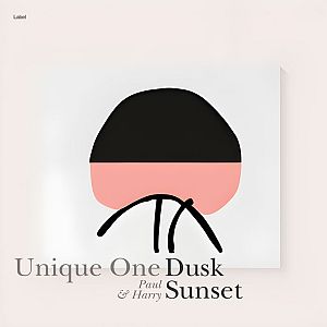 Pre Made Album Cover Dawn Pink a picture of a black and pink object on a white background
