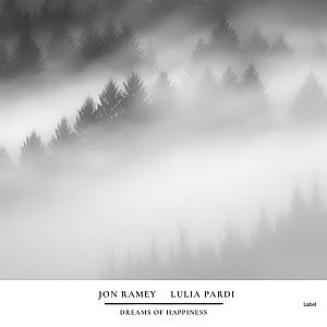 Pre Made Album Cover Quill Gray a black and white photo of a foggy forest