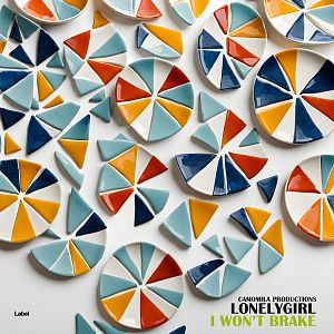 Pre Made Album Cover Timberwolf Colorful, geometric ceramic plates and fragments arranged on a white surface, featuring triangular segments in blue, teal, orange, and yellow.