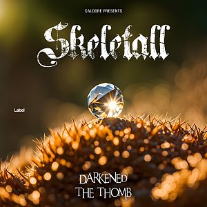 Pre Made Album Cover Onion A crystal ball balanced on a spiky, sunlit surface with a warm, blurred background.
