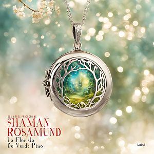 Pre Made Album Cover Eagle A silver locket with intricate tree design, containing an enchanted forest scene, hangs against a sparkling, dreamy background.