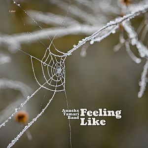 Pre Made Album Cover Soya Bean An intricate, frost-covered spider web connects barren branches, illustrating the complex and fragile connections that bind lovers across distance and time, under a gray dawn.