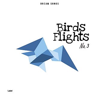 Pre Made Album Cover San Marino the cover of the album birds flights, featuring an origami bird