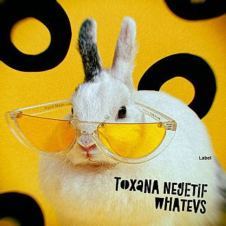 Pre Made Album Cover Golden Grass a white rabbit wearing a pair of sunglasses