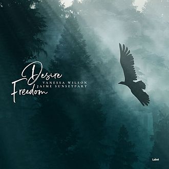 Pre Made Album Cover Tower Gray a bird flying through a foggy forest filled with trees