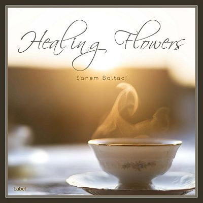 Pre Made Album Cover Shadow