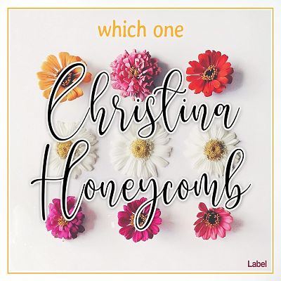 Pre Made Album Cover Ebb